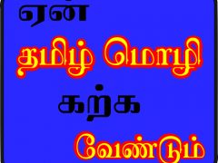 உலகத் தாய்மொழி தினக் கொண்டாட்டங்கள்