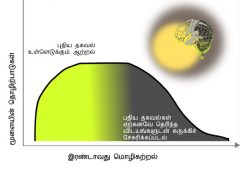 மூளைவளர்ச்சியும்  மொழி கற்றலும்