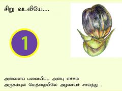 பனைப் பாட்டு…